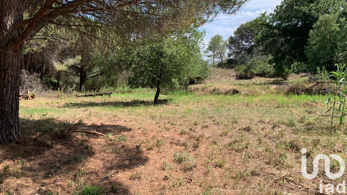 Terrain  Fréjus
