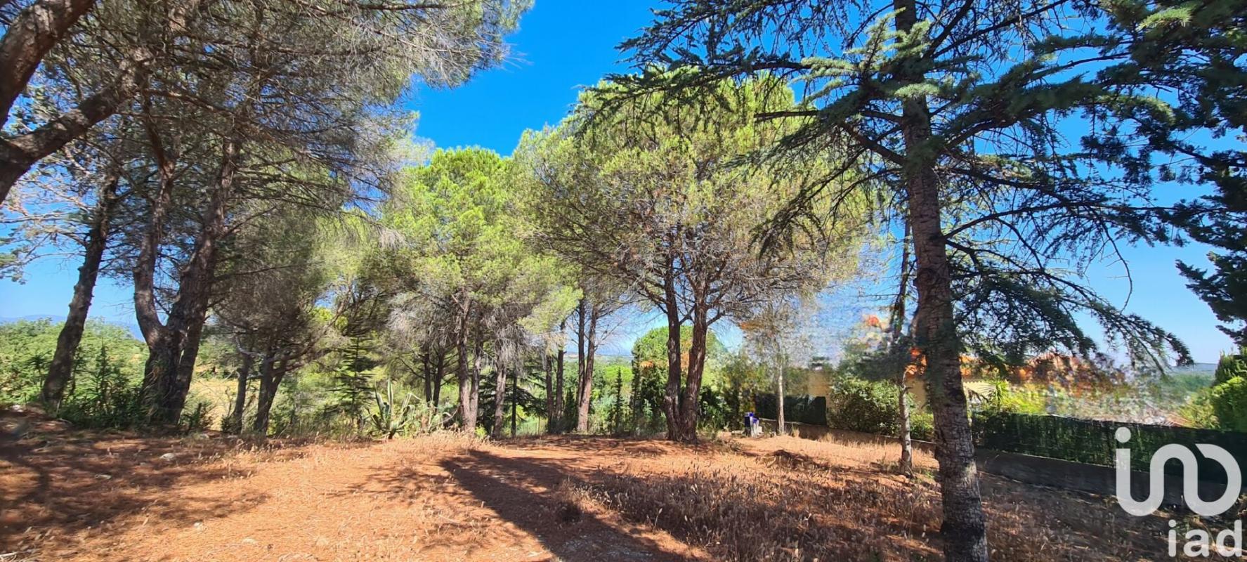 Terrain  Montesquieu-des-Albères