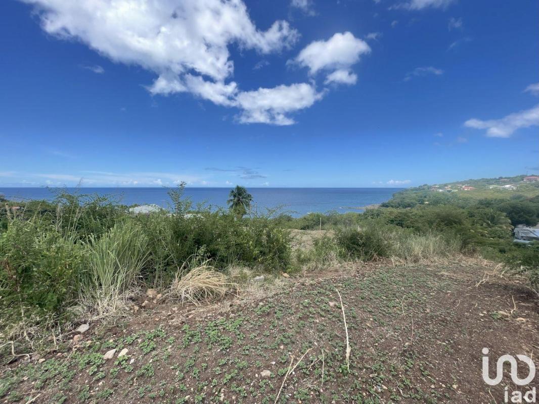 Terrain  Vieux-Habitants