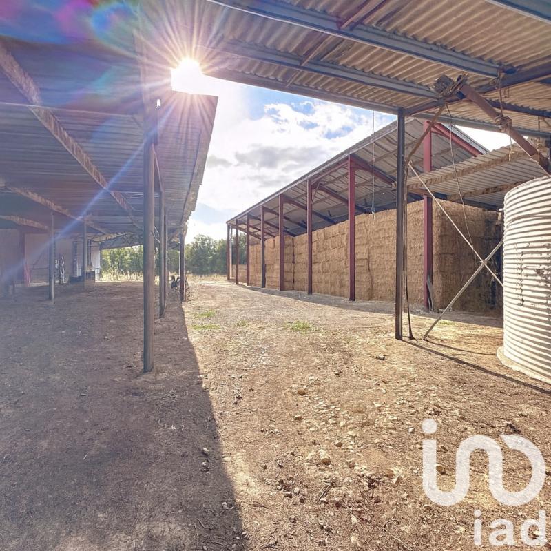 Ferme 5 Pièce(s) Nuaillé-d'Aunis