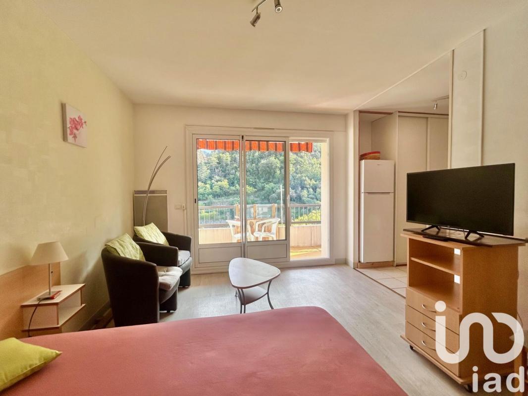 Appartement 1 Pièce(s) Amélie-les-Bains-Palalda - Photo 3