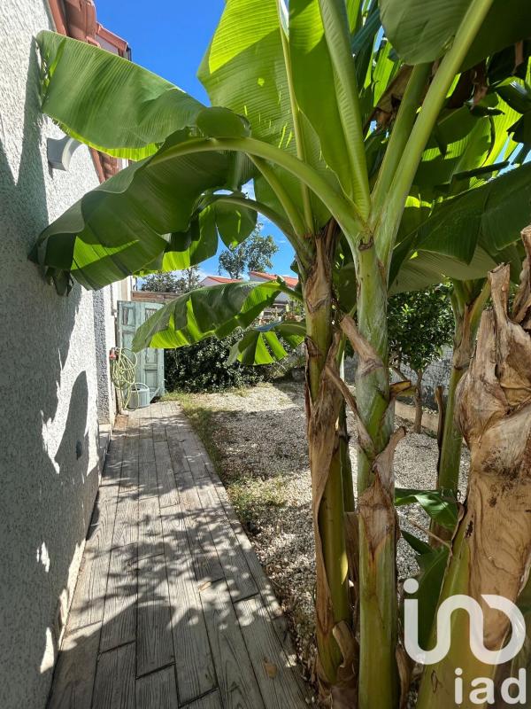 Maison 4 Pièce(s) Pézilla-la-Rivière - Photo 27