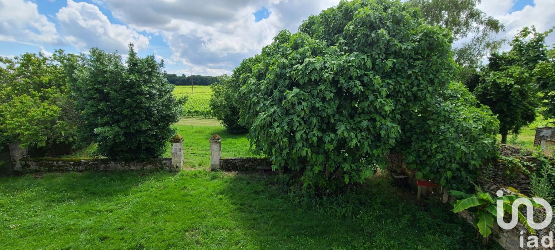 Maison 5 Pièce(s) Saint-Paul