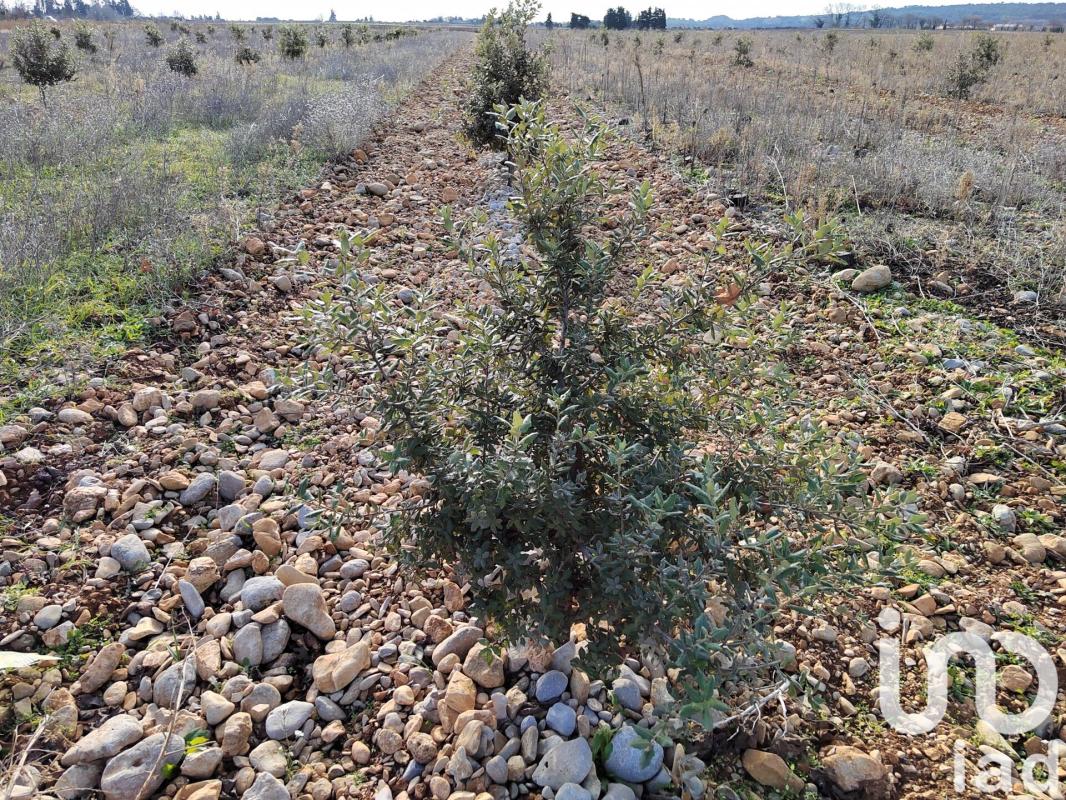 Terrain agricole  Sainte-Cécile-les-Vignes