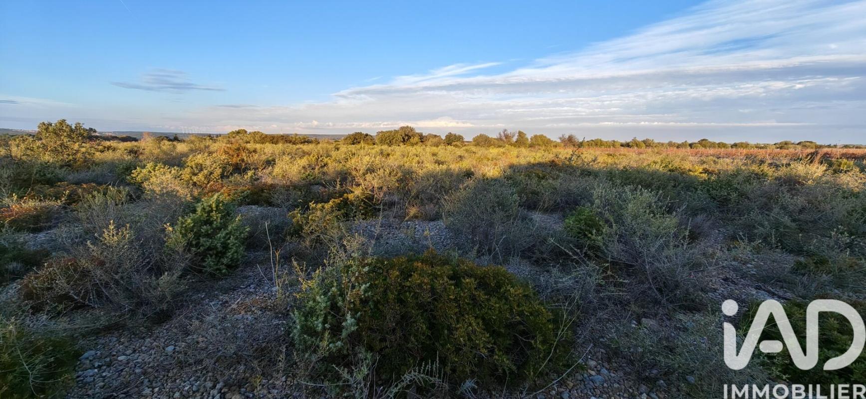 Terrain agricole  La Palme