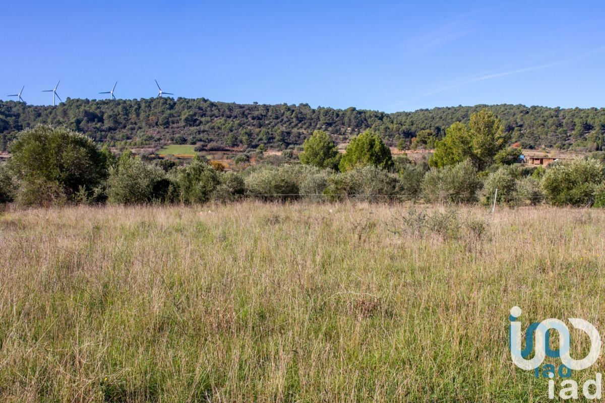 Terrain  Mailhac