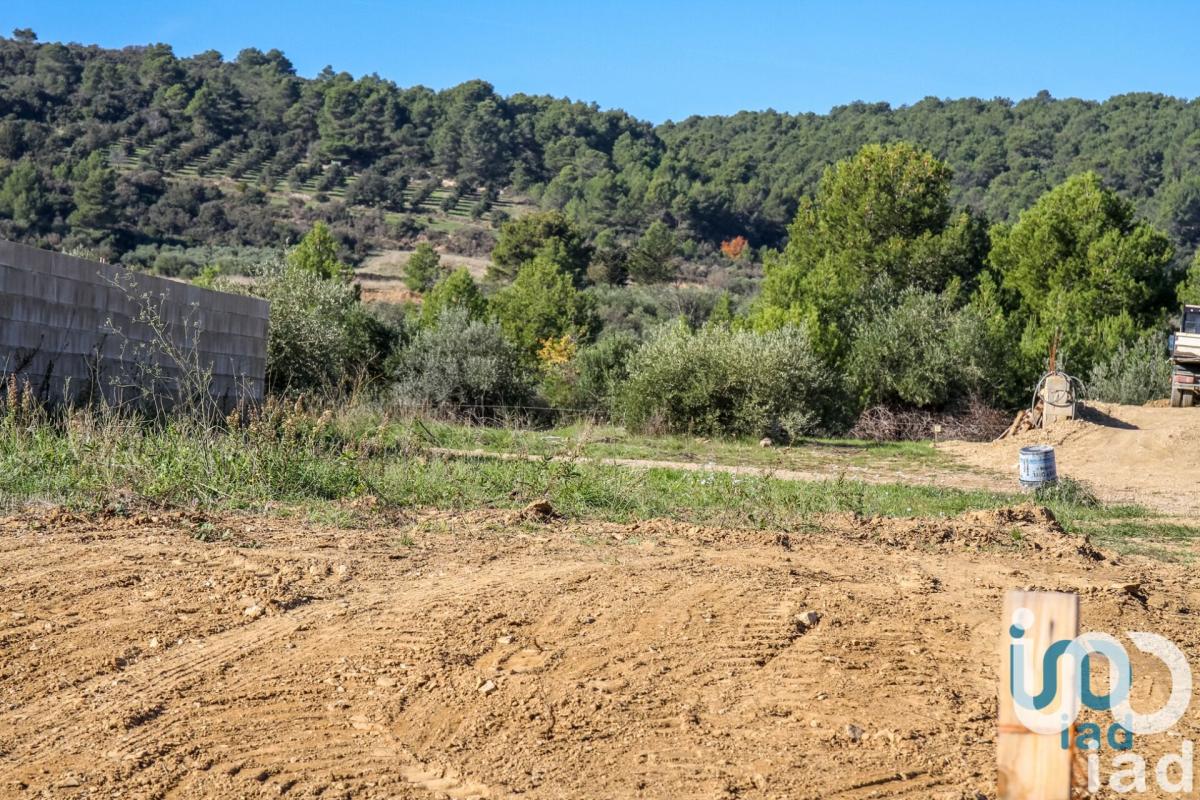 Terrain  Mailhac