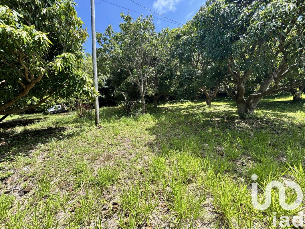 Terrain  Saint-Pierre