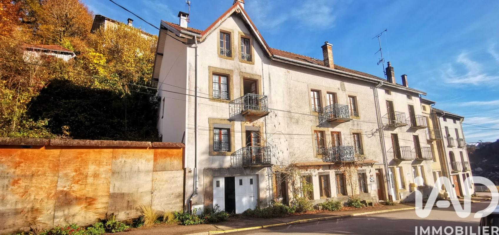 Maison 10 Pièce(s) Plombières-les-Bains