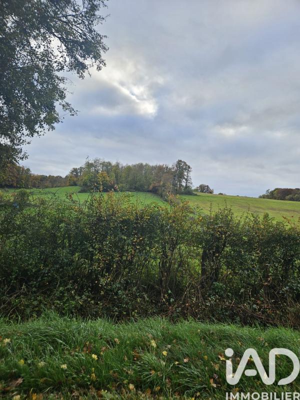 Terrain  Villeneuve-sur-Yonne