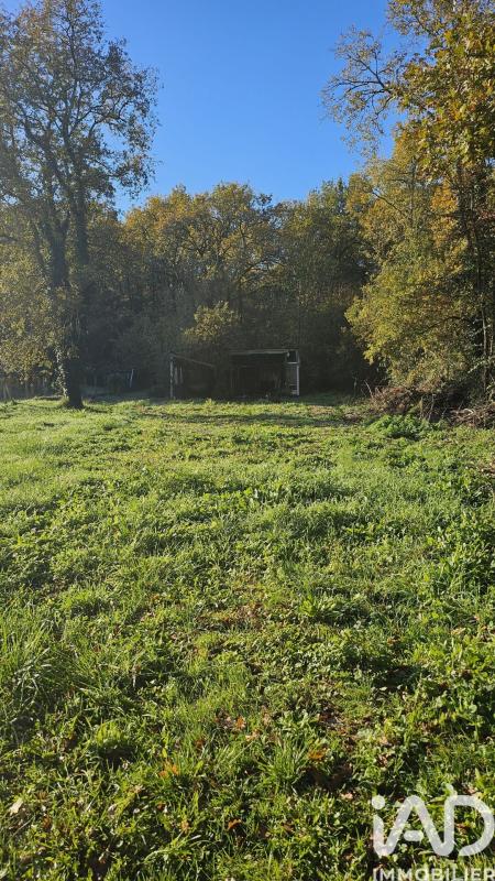 Terrain  Saujon