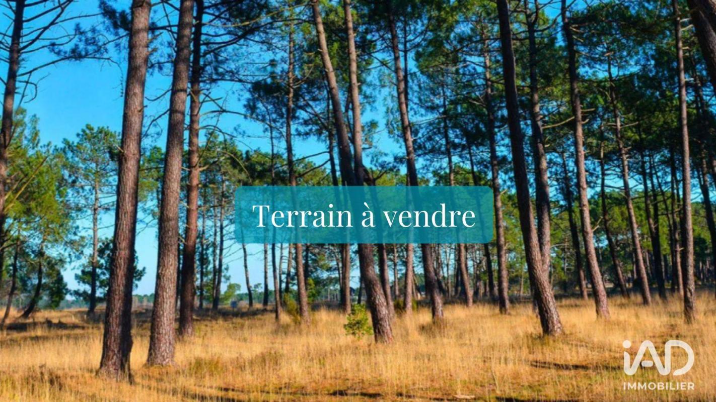 Terrain  Tosse