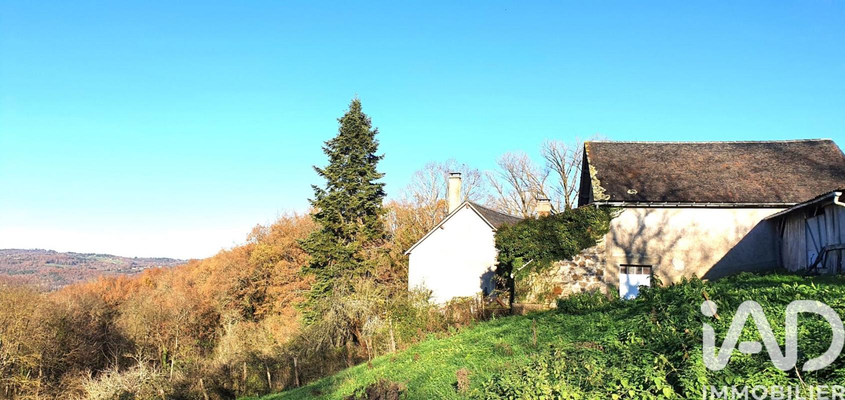 Maison 6 Pièce(s) Terrasson-Lavilledieu