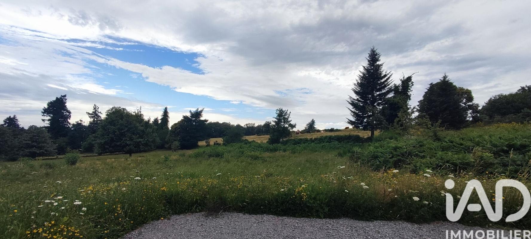 Terrain  Razès