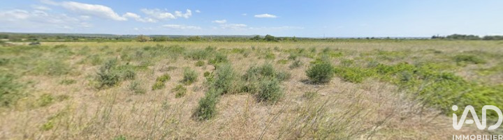 Terrain agricole  La Palme