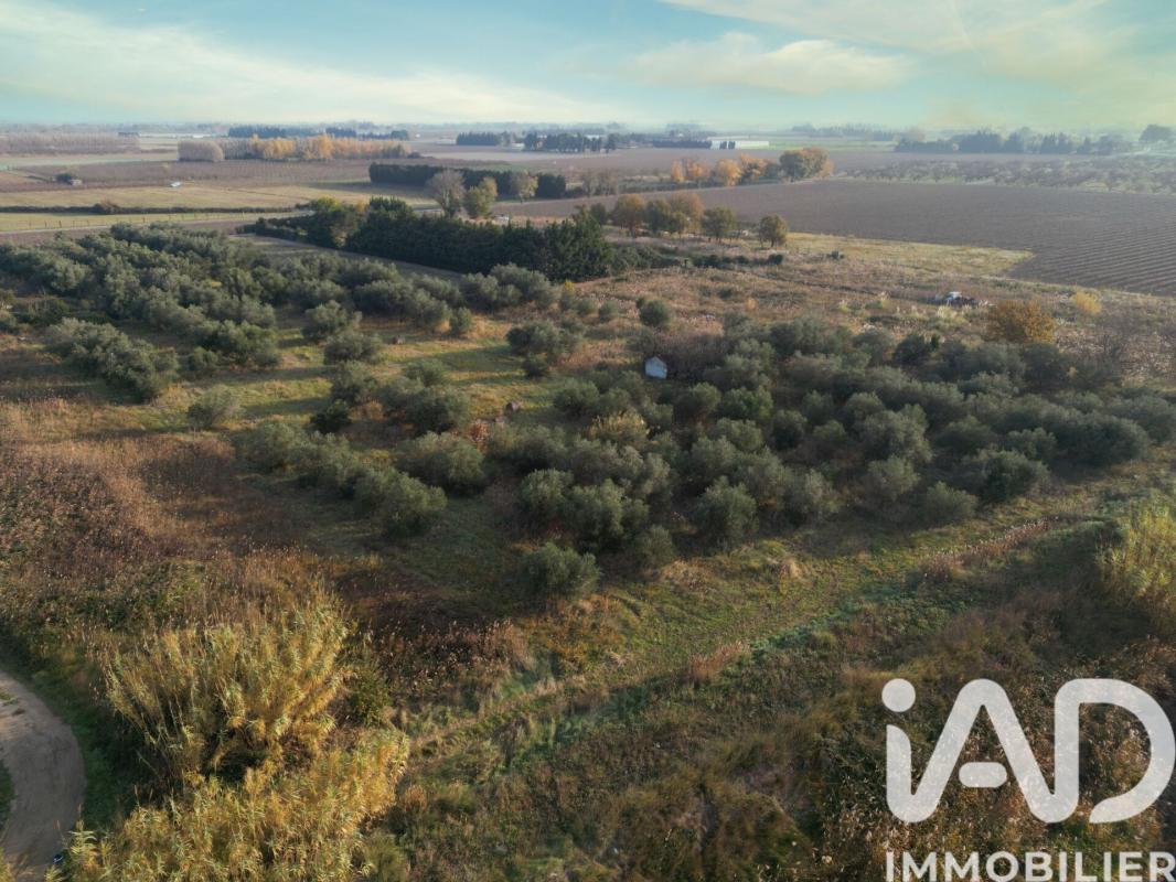 Terrain agricole  Pia