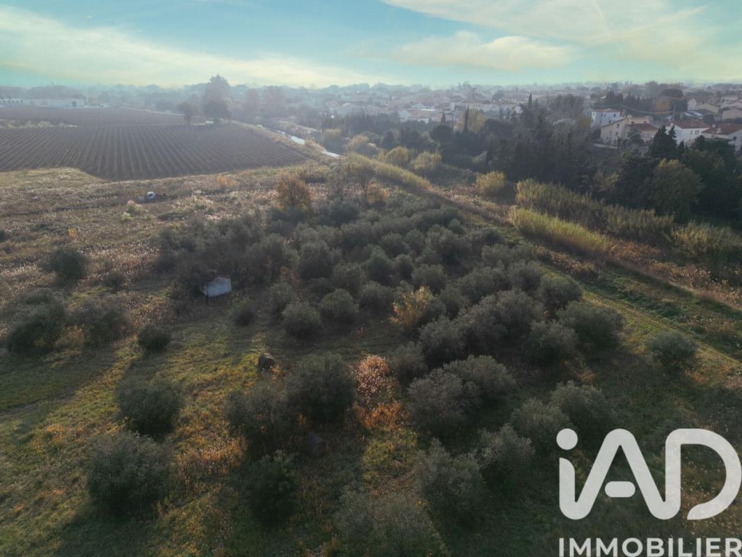 Terrain agricole  Pia