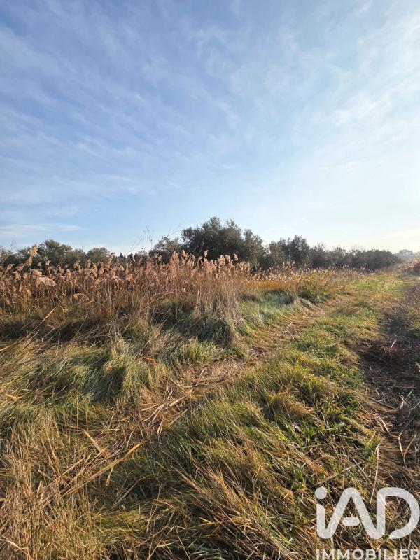 Terrain agricole  Pia