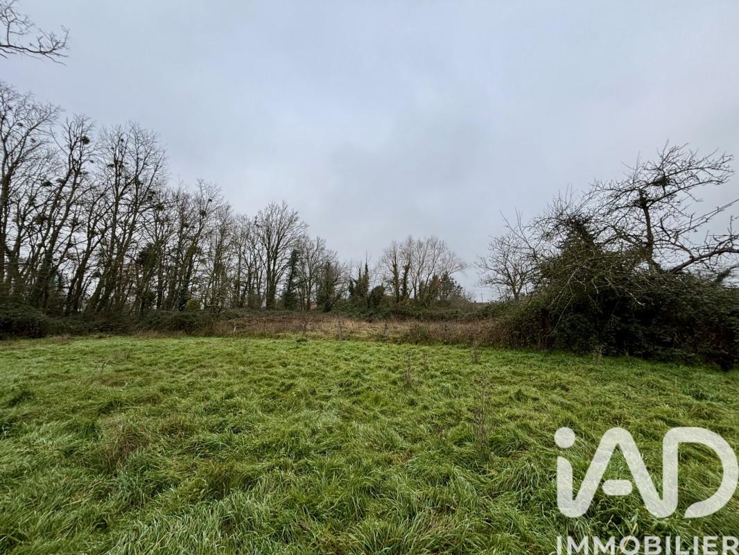 Terrain  Beaulon