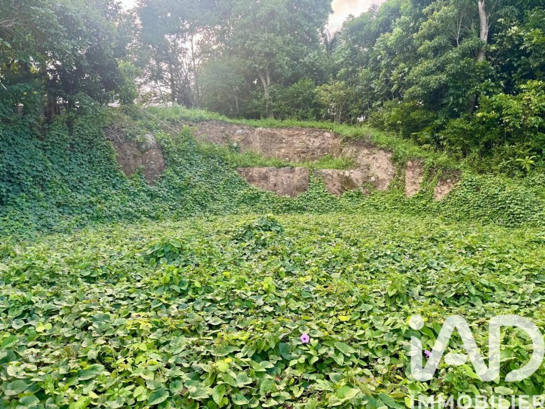 Terrain  Les Abymes