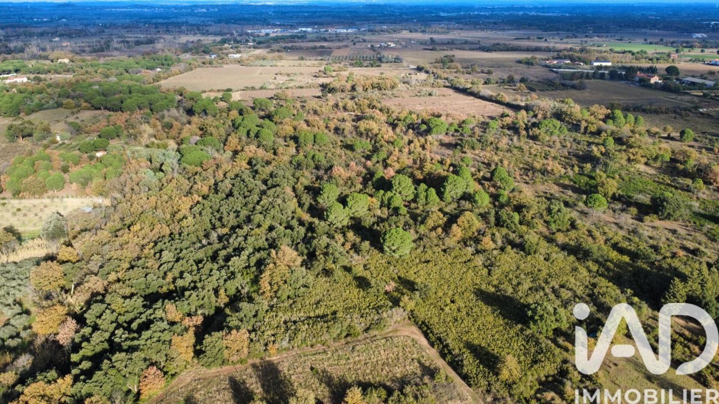 Terrain agricole  Laroque-des-Albères