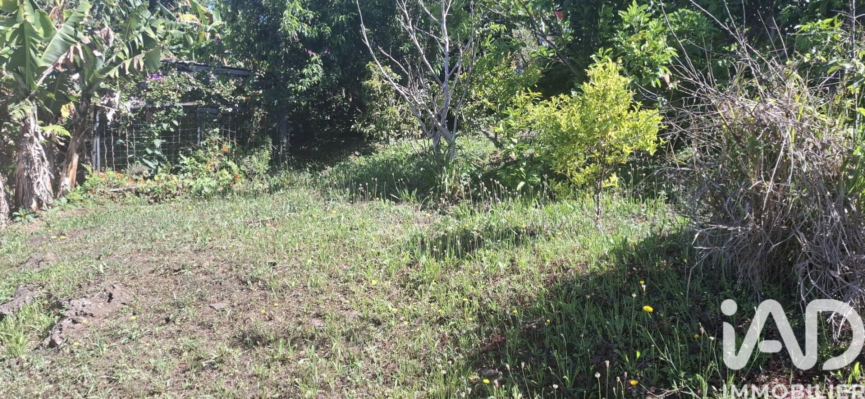 Terrain  Le Tampon