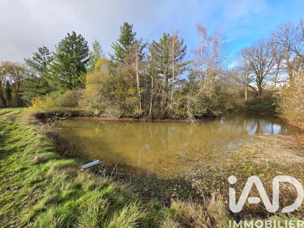 Maison traditionnelle 5 Pièce(s) Coullons