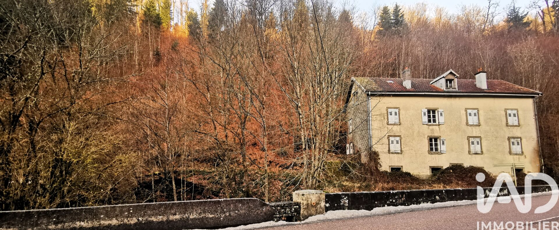 Immeuble  Plombières-les-Bains
