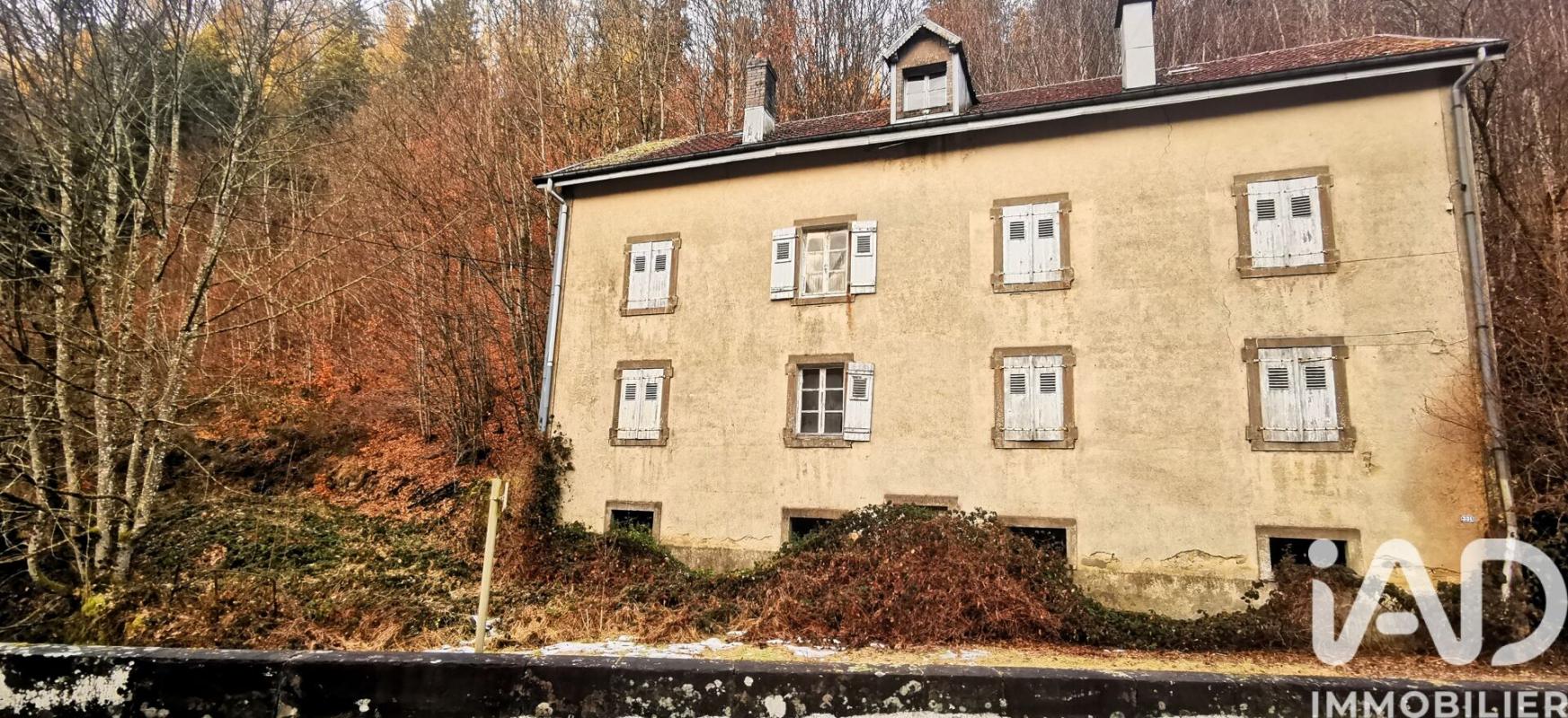Immeuble  Plombières-les-Bains - Photo 2