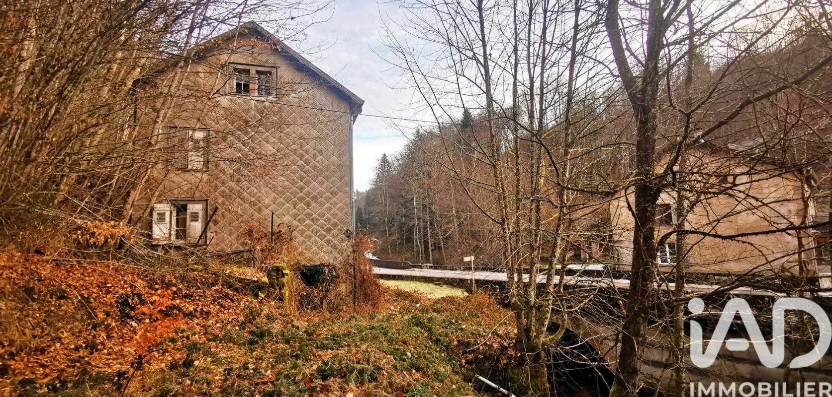 Immeuble  Plombières-les-Bains - Photo 4