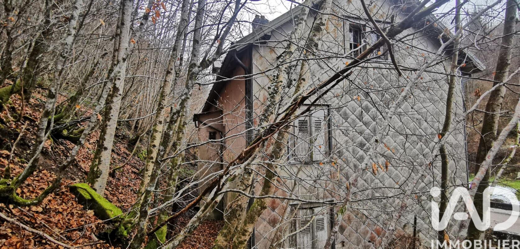 Immeuble  Plombières-les-Bains - Photo 20