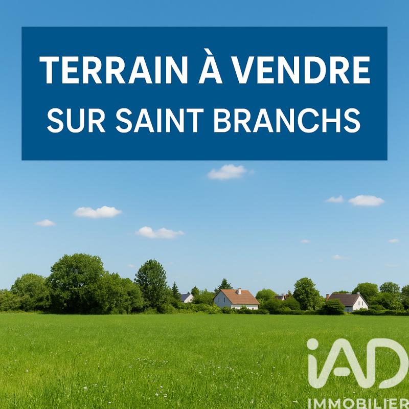 Terrain  Saint-Branchs