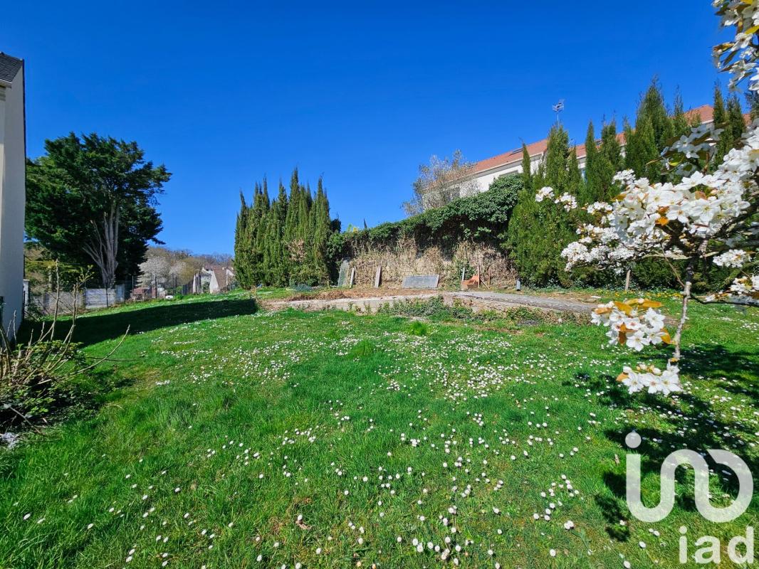 Terrain  Linas