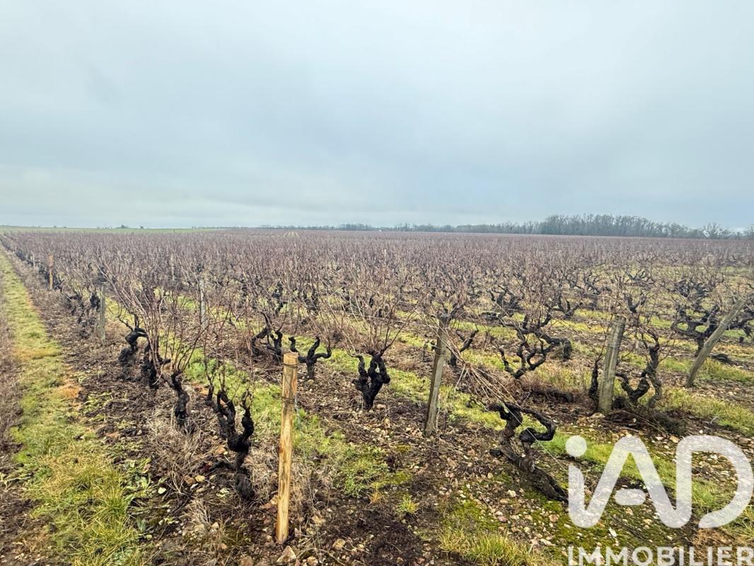 Terrain  Vernou-sur-Brenne