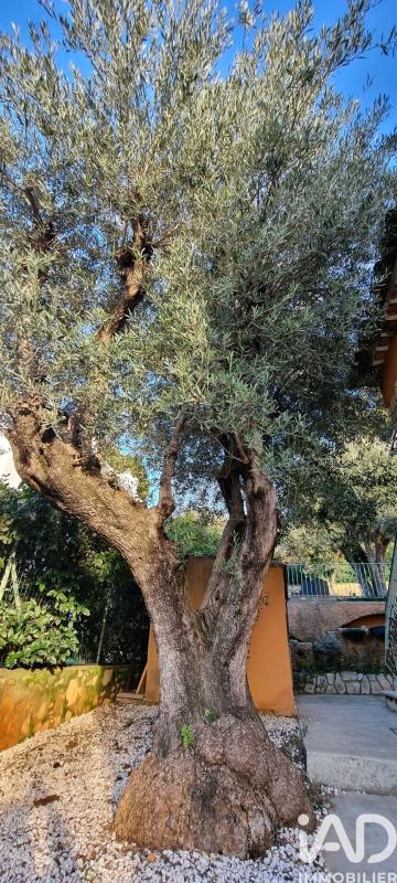 Maison traditionnelle 6 Pièce(s) Toulon