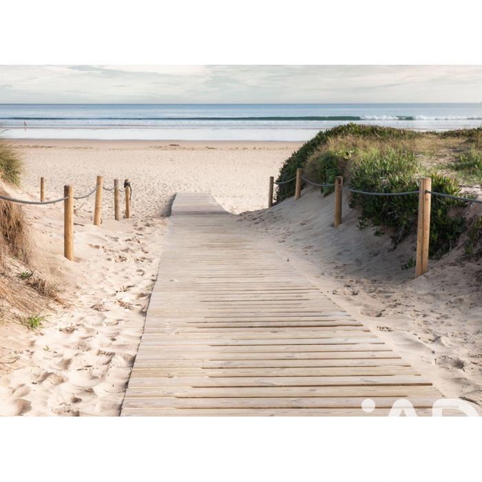 Maison 4 Pièce(s) Le Bois-Plage-en-Ré - Photo 3