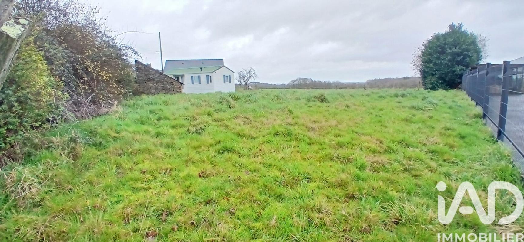 Terrain  Avessac