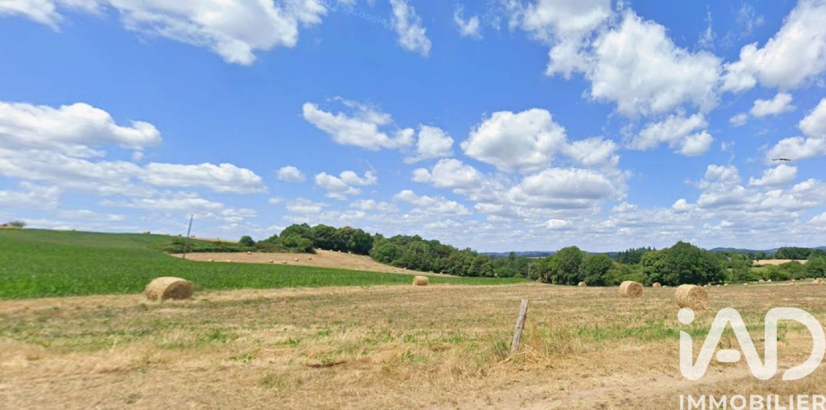 Terrain agricole  Neuvic-Entier