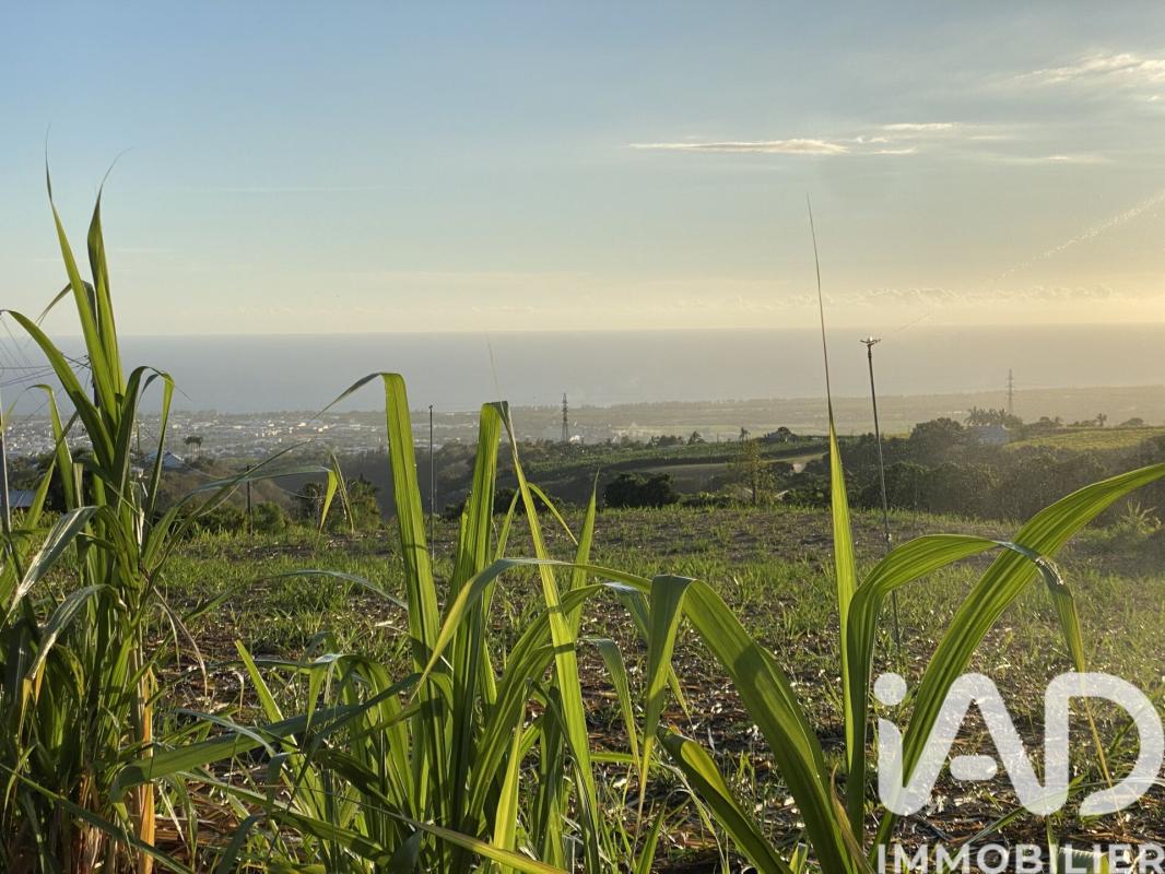 Maison 3 Pièce(s) Saint-Louis