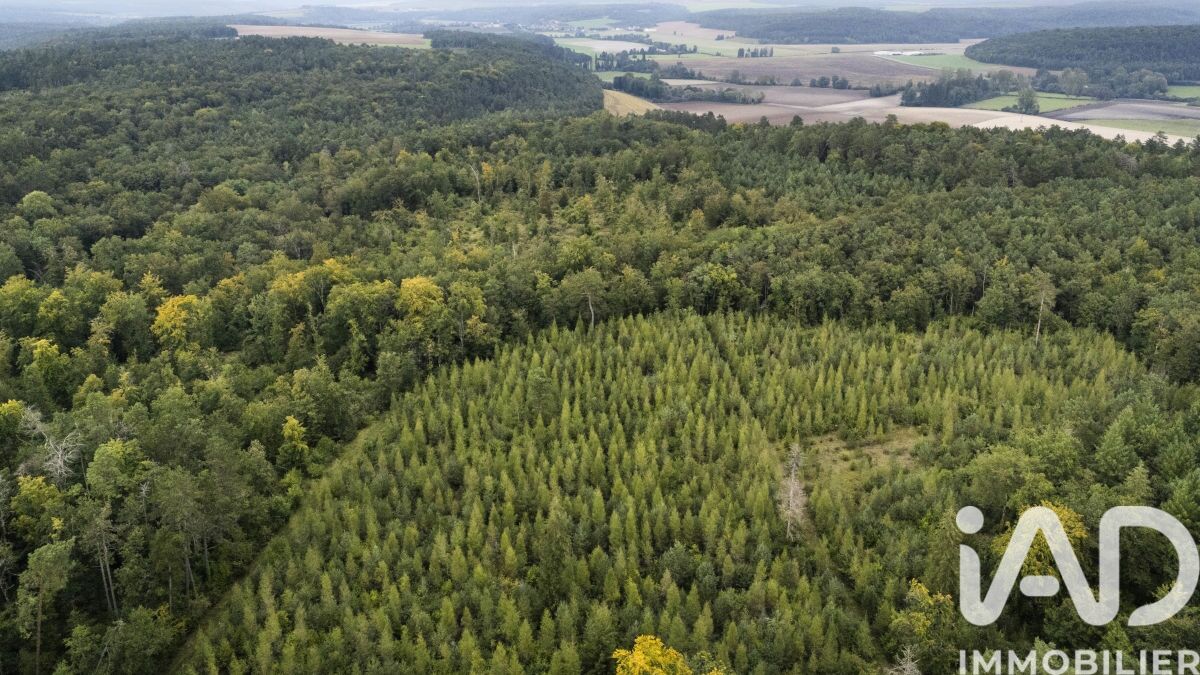 Terrain  Mios