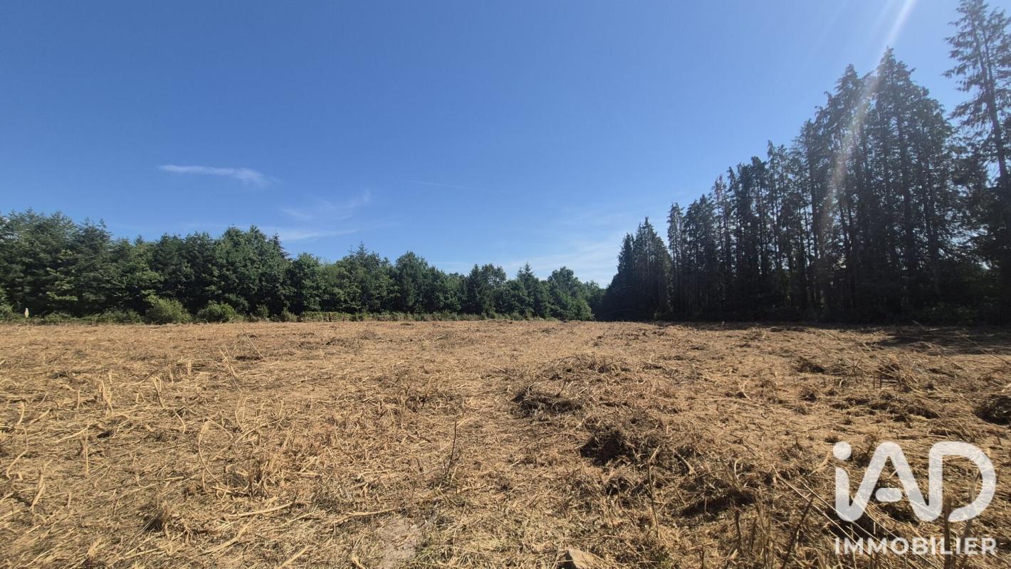 Terrain  Royères