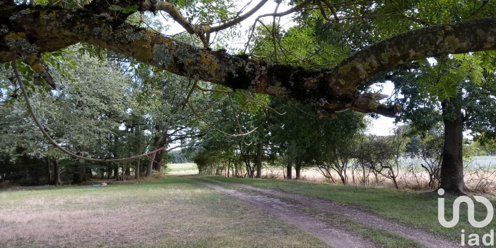 Maison 5 Pièce(s) Prunay-Cassereau - Photo 2