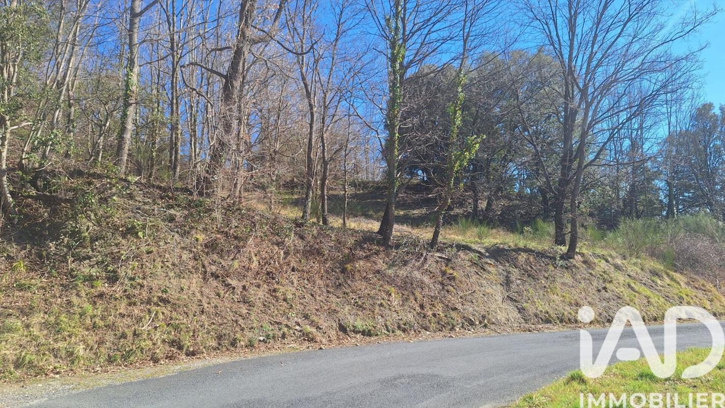 Terrain  Montferrer - Photo 1