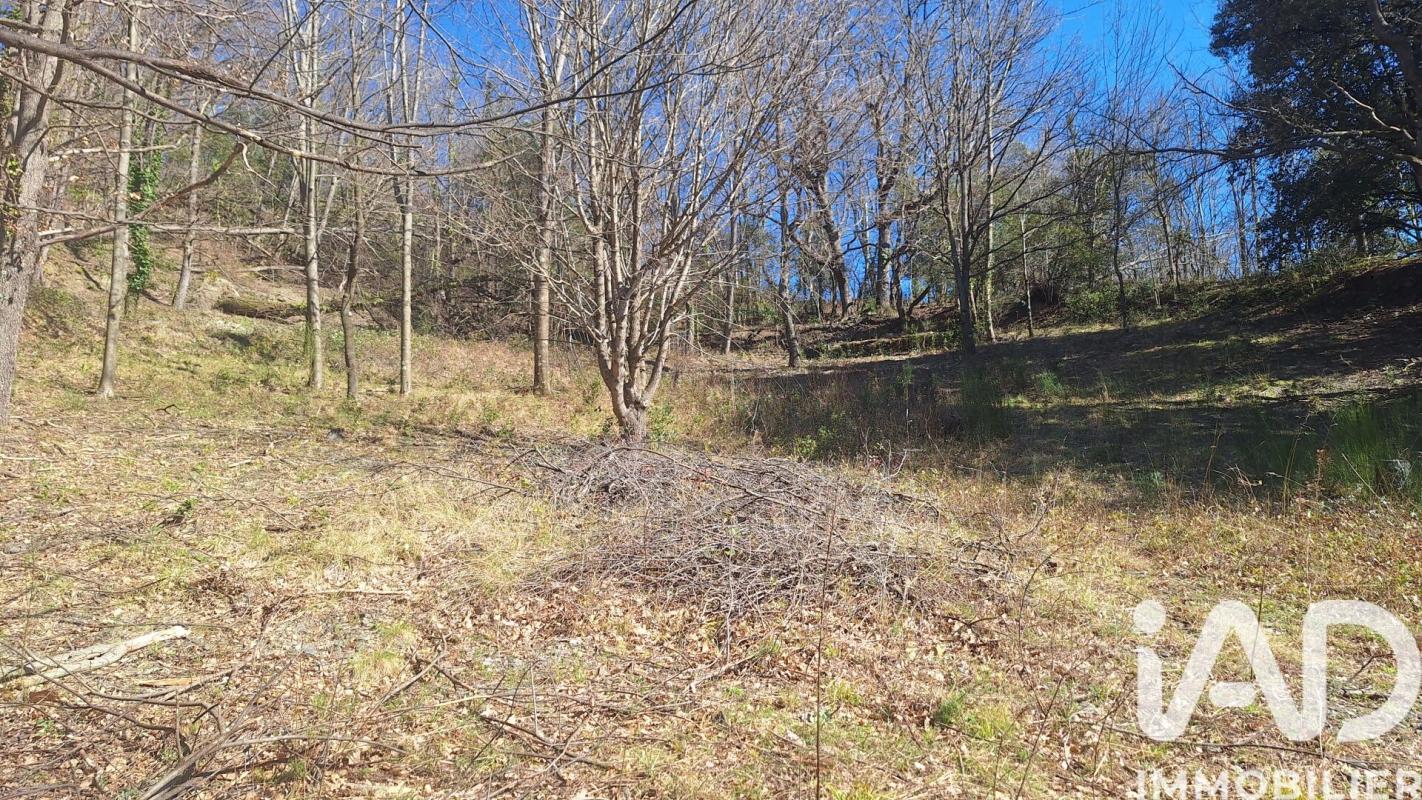 Terrain  Montferrer - Photo 2