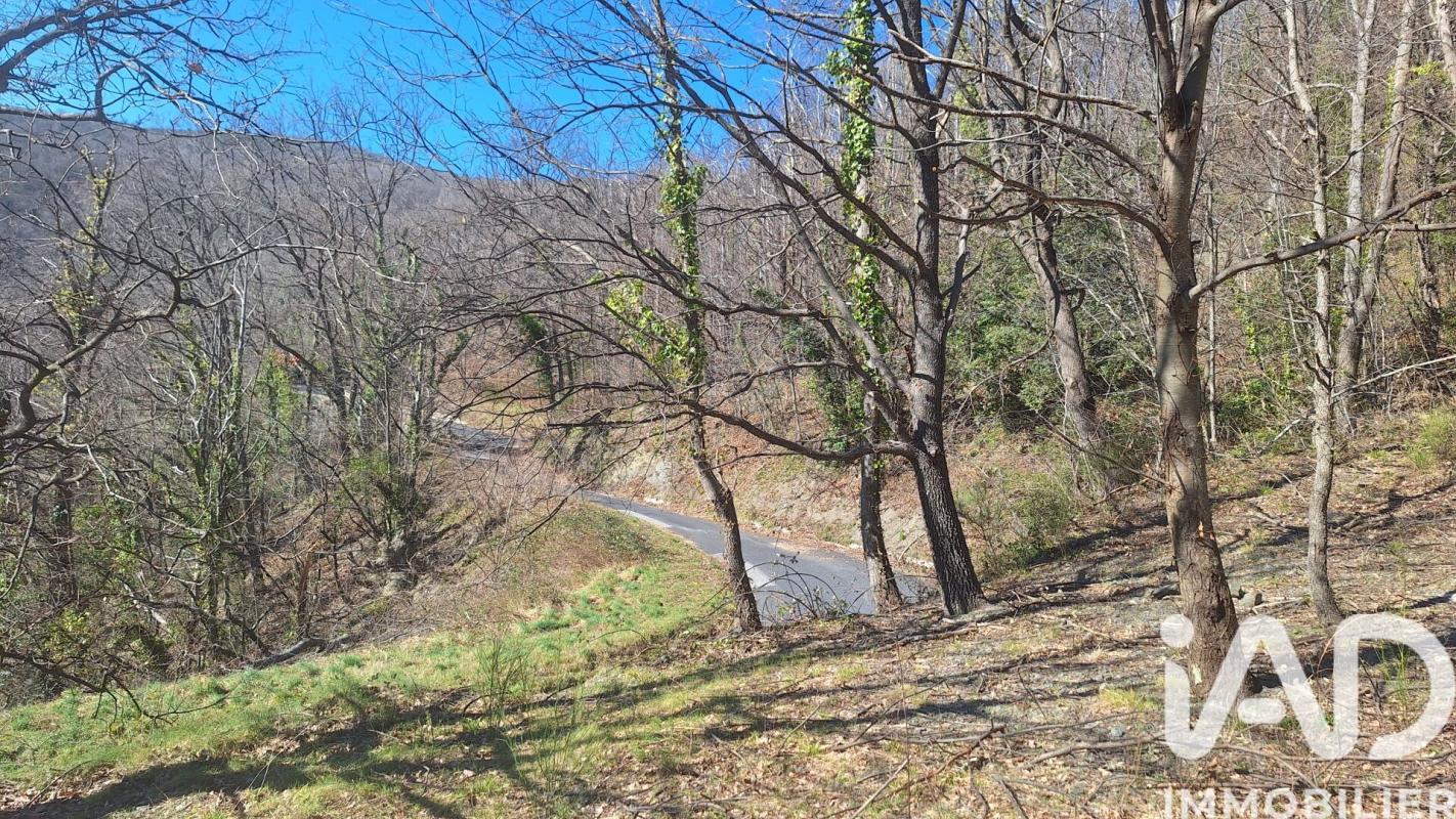 Terrain  Montferrer - Photo 3