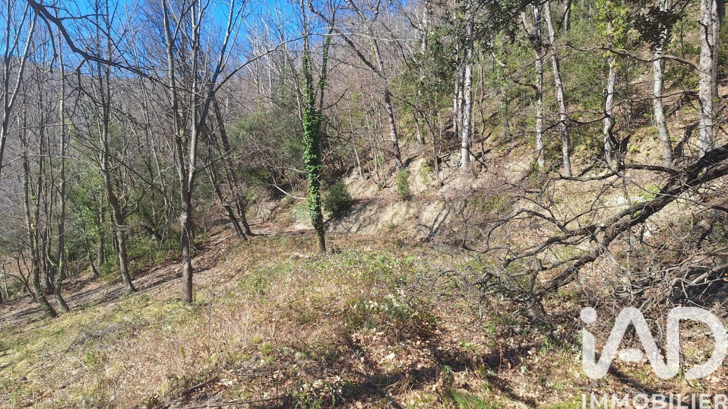 Terrain  Montferrer - Photo 4