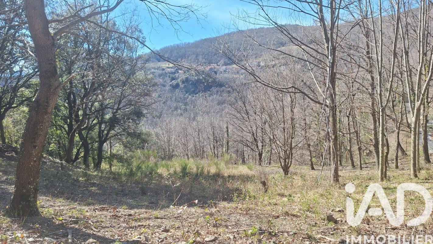 Terrain  Montferrer - Photo 5
