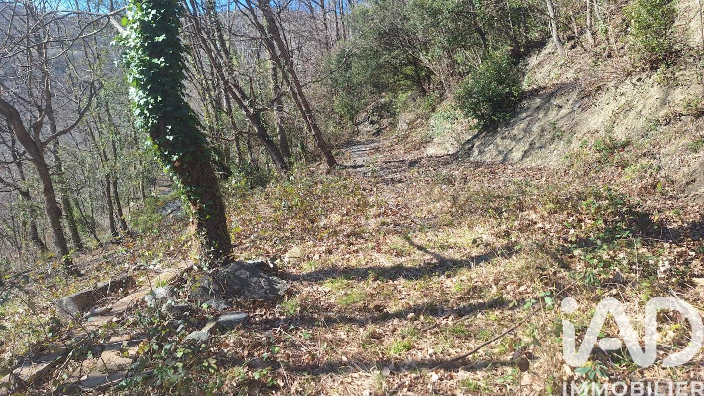 Terrain  Montferrer - Photo 6