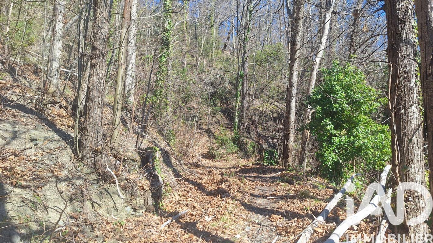 Terrain  Montferrer - Photo 7
