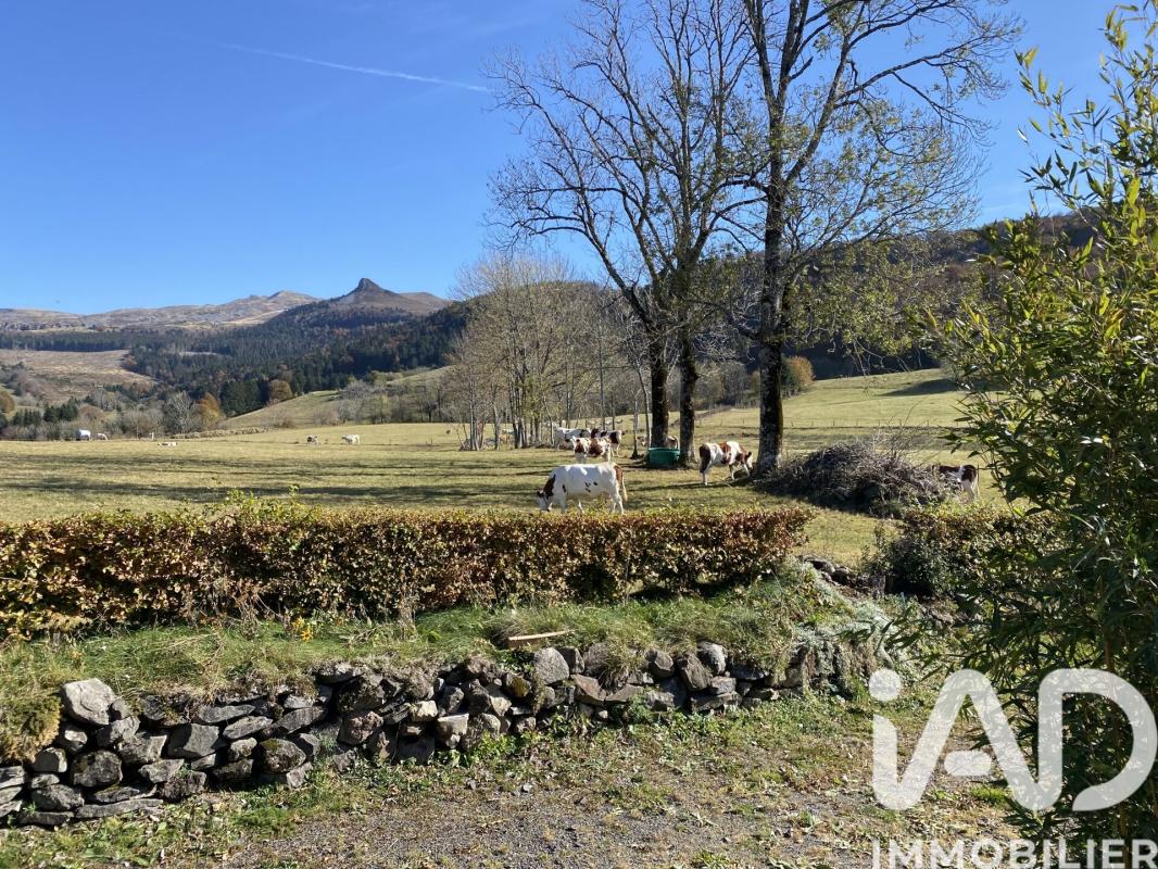 Maison en pierre 5 Pièce(s) Chastreix